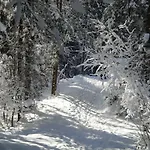 Holiday home Tyrol *