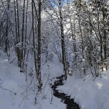 Tyrol Vakantiehuis Fügen