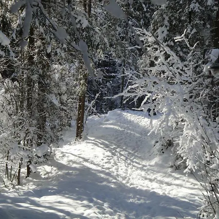 Vakantiehuis Tyrol *