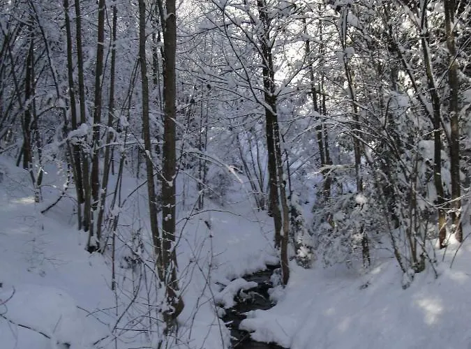 Tyrol Holiday home Fuegen